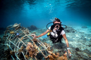 Underwater scientist fixing a seacrete on seabed, (artificial steel reef with electric current), Lombok, Indonesia