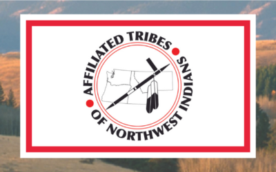 Transitioning impactful program to a “by Tribes for Tribes” mode