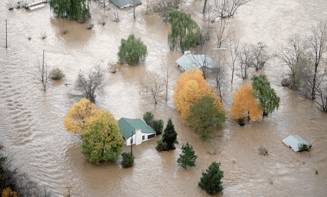 Rapid-response equity data and analysis after disasters
