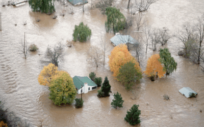 Rapid-response equity data and analysis after disasters