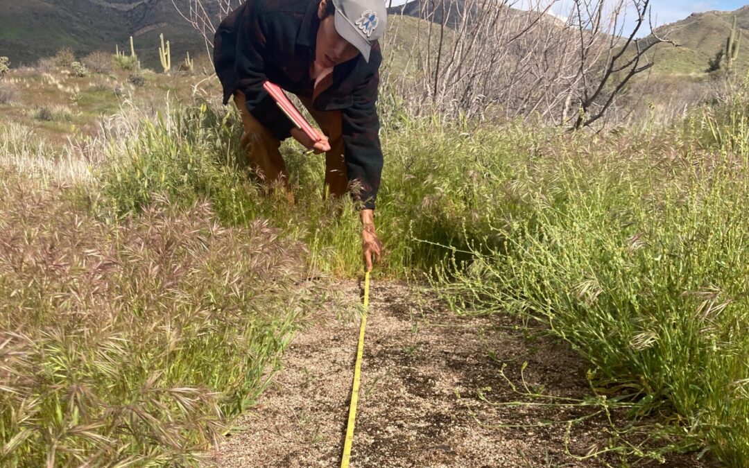 Exploring biocrust restoration for carbon removal